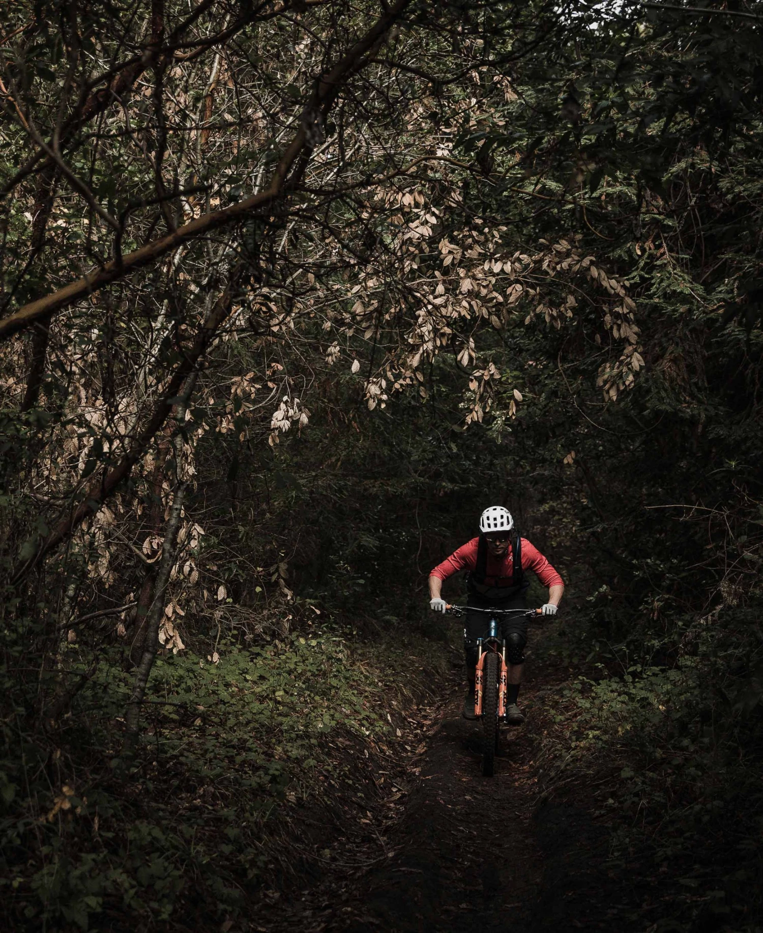 POC Resistance Enduro Glove 9 POC Resistance Enduro Glove