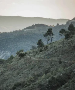 POC Joint VPD Air Elbow NEW IN_