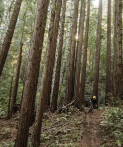 POC Armor VPD System Torso 16 POC Armor VPD System Torso