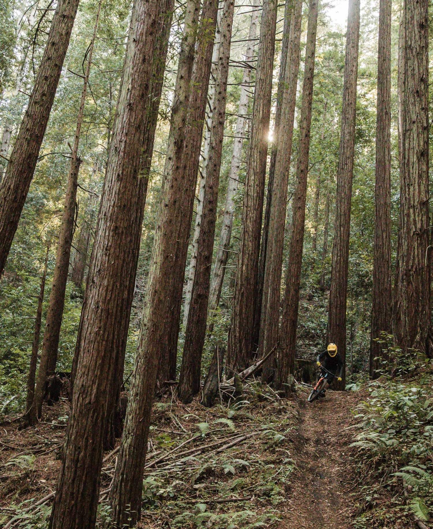 POC Armor VPD System Torso 9 POC Armor VPD System Torso